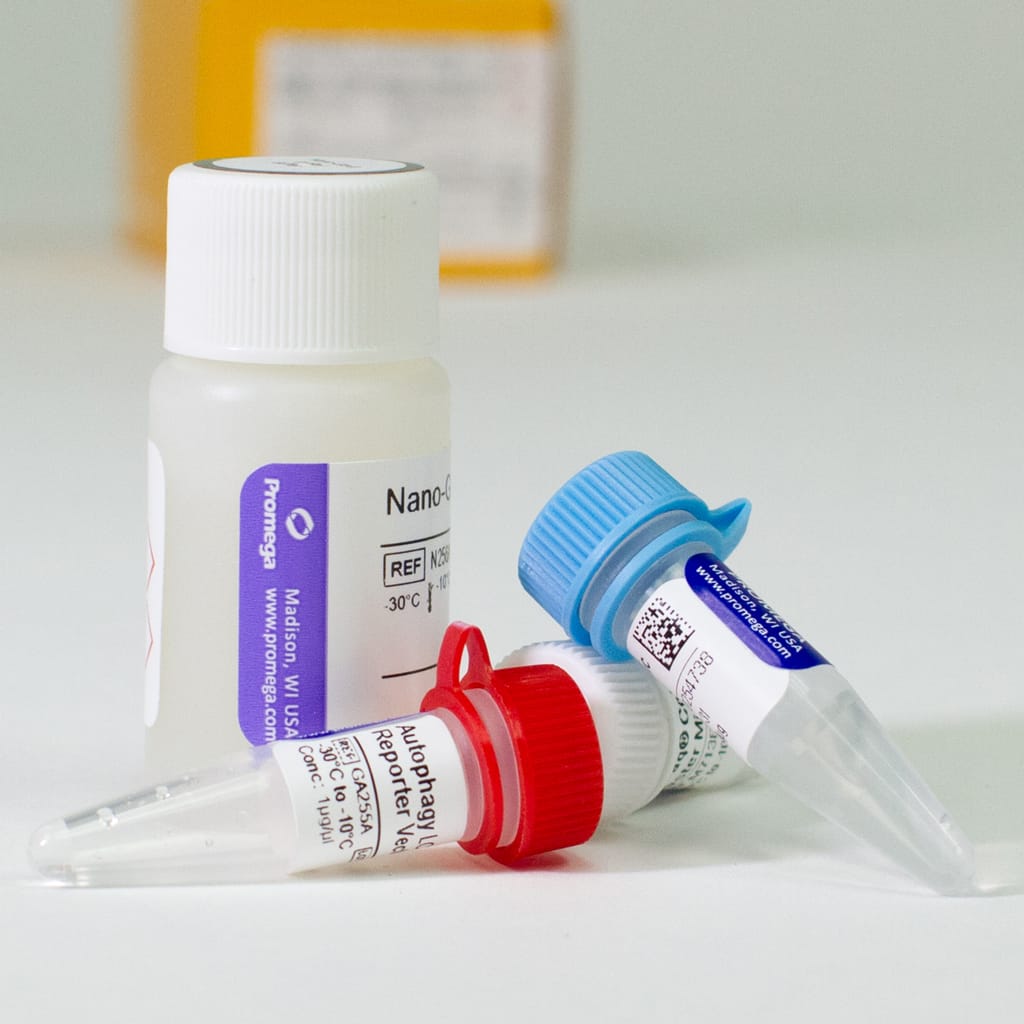 Autophagy LC3 HiBiT Reporter Vector Kit 1 reactions