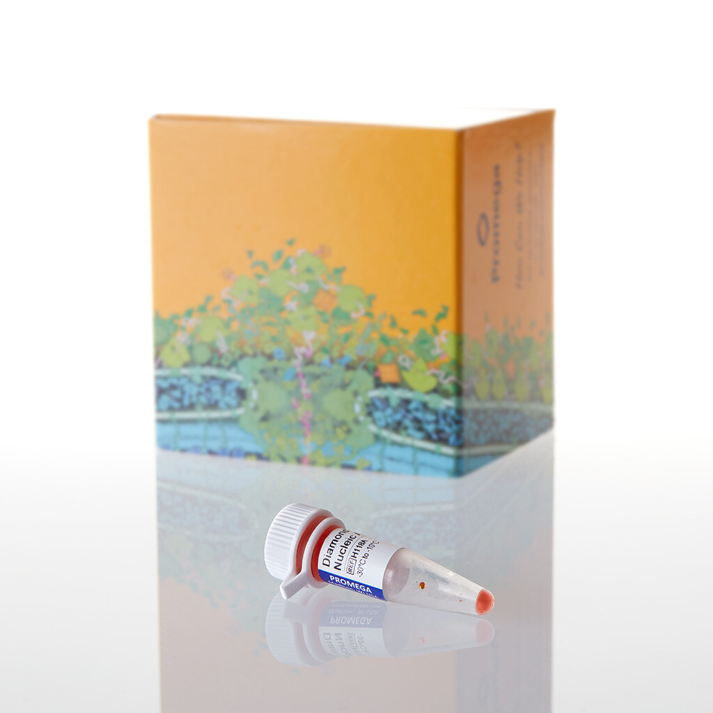 Diamond Nucleic Acid Dye 500 µl