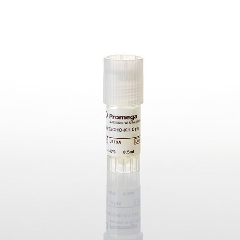 PD-L1 Negative Cells