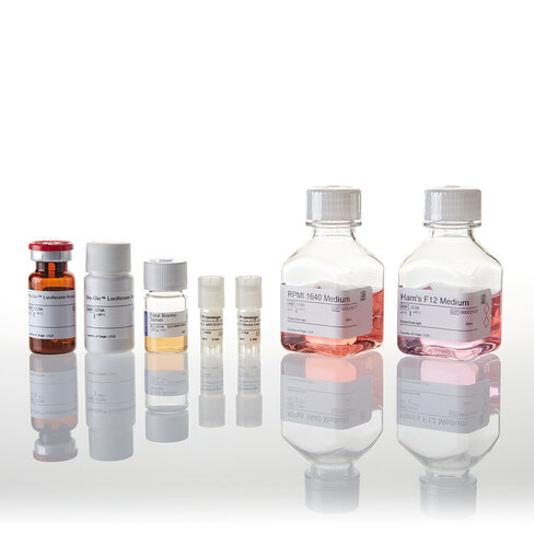 PD-1/PD-L1 Blockade Bioassay 1 kit