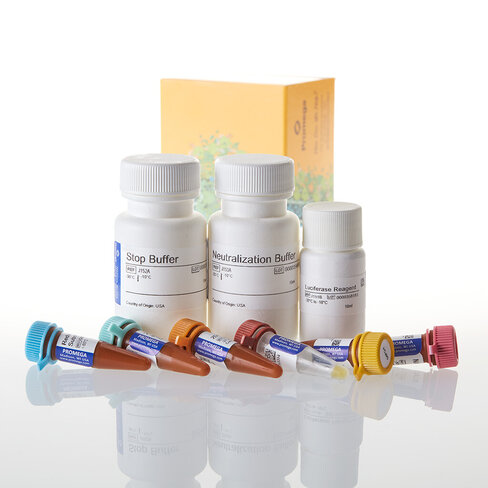 Glucose Uptake-Glo Assay 10 mL