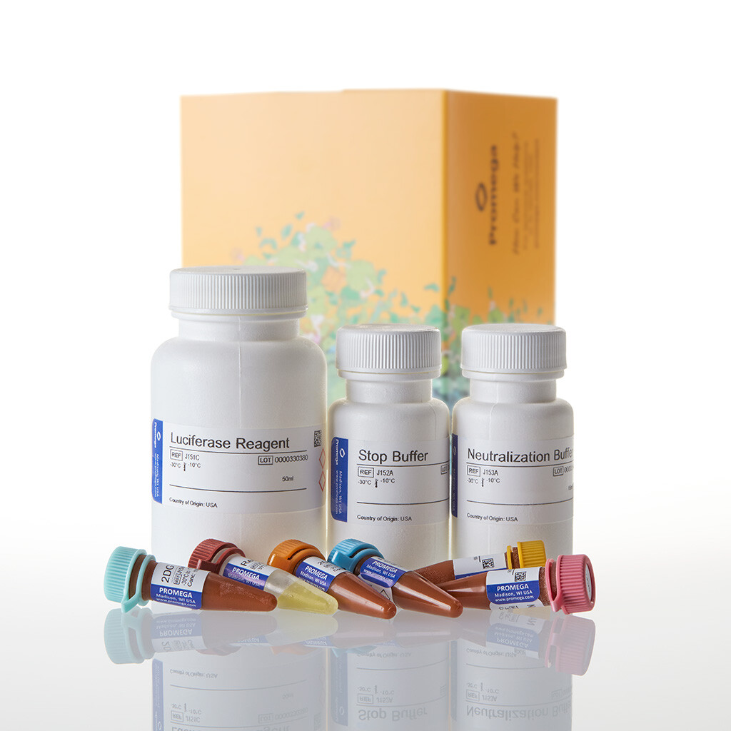 Glucose Uptake-Glo Assay 50 mL