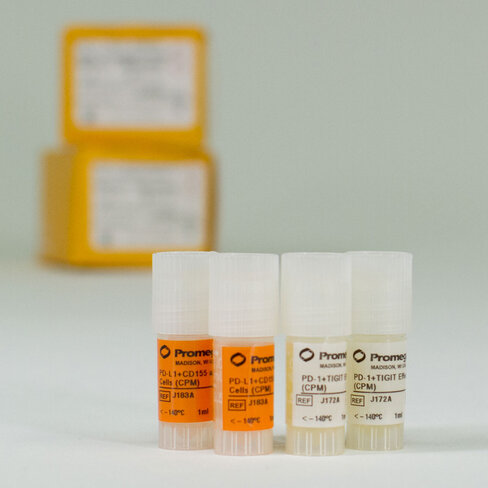 PD-1 + TIGIT Combination Bioassay, Propagation Model 2 tube