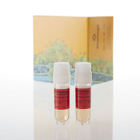 CD40 Bioassay, Propagation Model 1 each