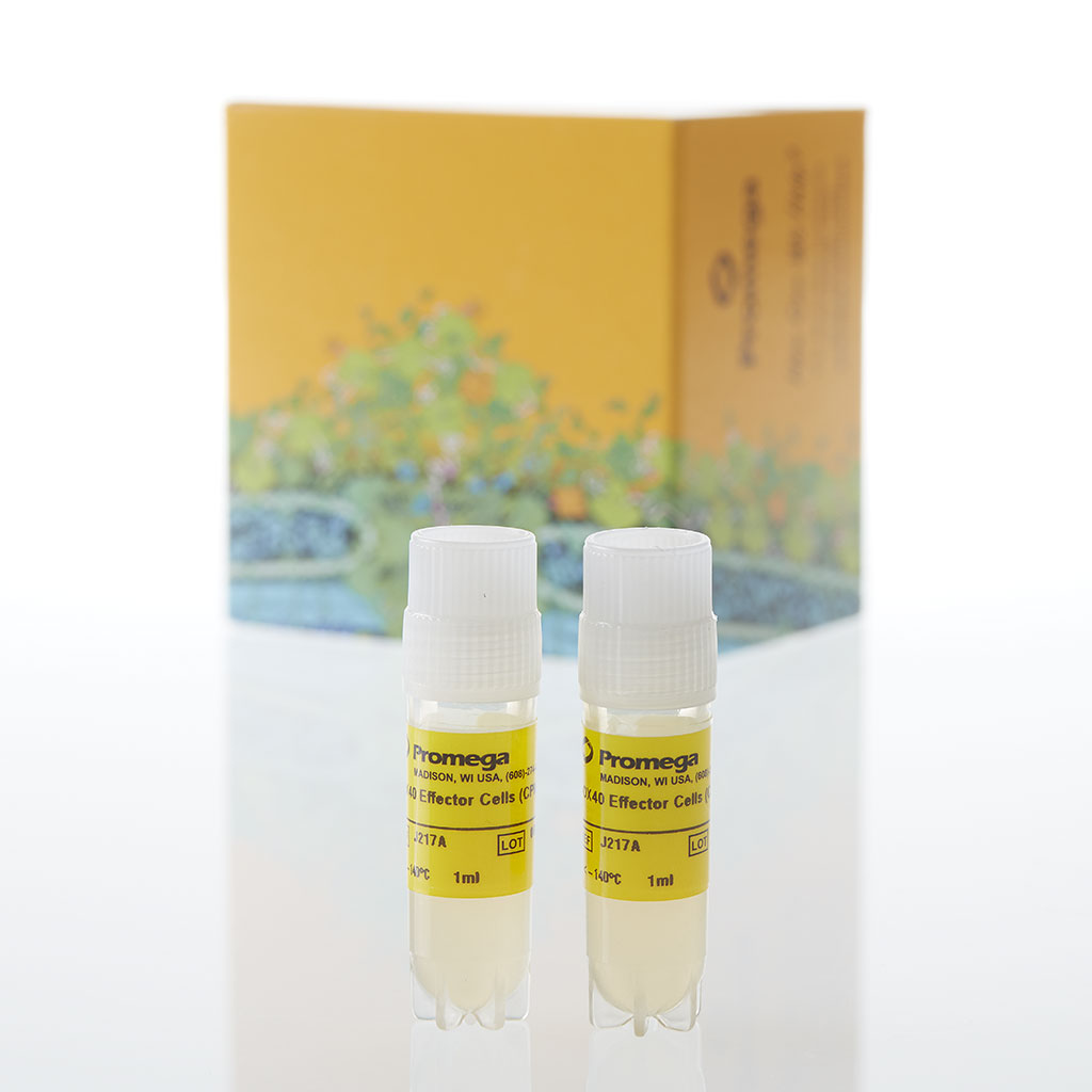 OX40 Effector Cells (Cell Propagation Model) 1 each