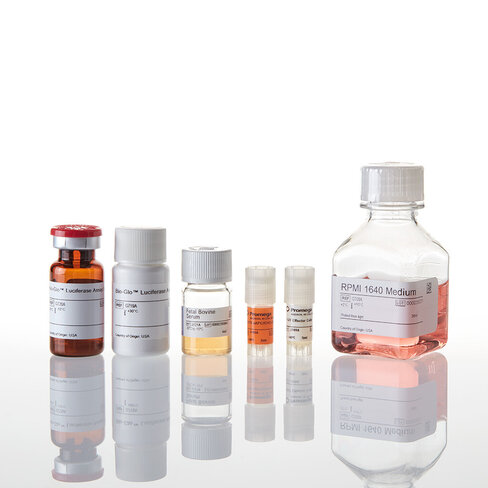 TIGIT/CD155 Blockade Bioassay 1 kit