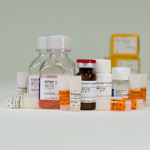 PD-1 + TIGIT Combination Bioassay (5x Thaw-and-Use) 1 kit