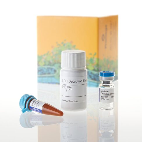 LDH-Glo Cytotoxicity Assay 50 mL