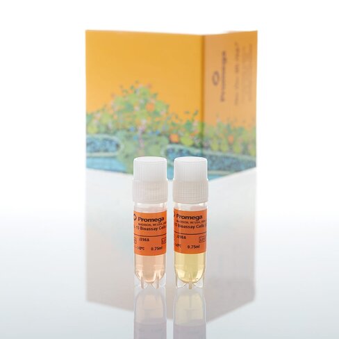 IL-15 Bioassay, Propagation Model 1 each