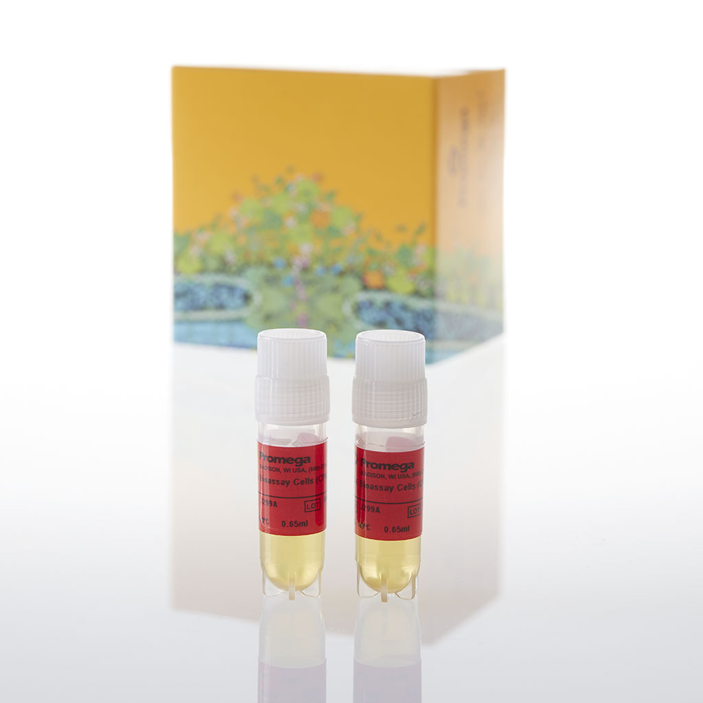 IL-6 Bioassay, Propagation Model 1 model