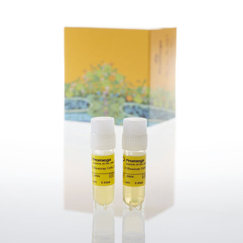 IL-23 Bioassay, Propagation Model 1 model