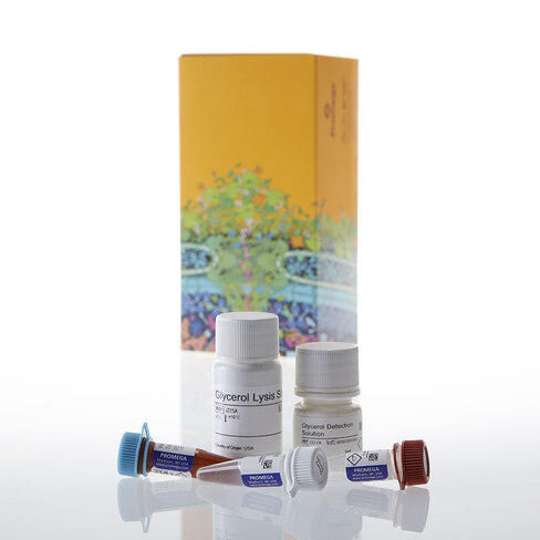 Glycerol-Glo Assay 5 mL