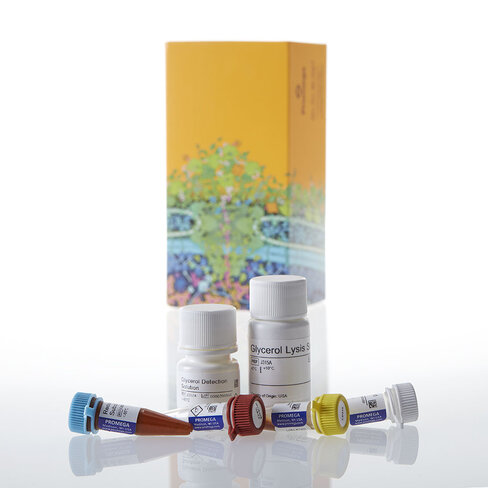 Triglyceride-Glo Assay 5 mL