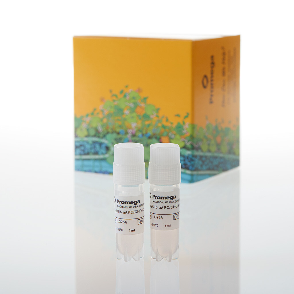 FcyRIIb aAPC/CHO-K1 Cells, Prop. Model 2 vials