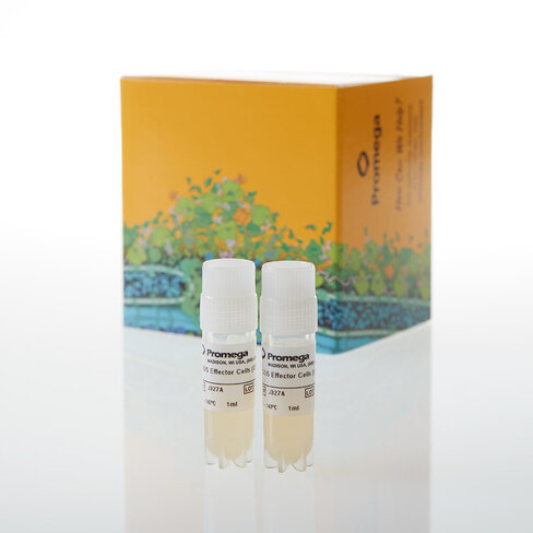 ICOS Effector Cells, Propagation Model 2 vials