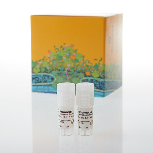 AAPC/CHO-K1 Cells, Propagation Model 2 vials