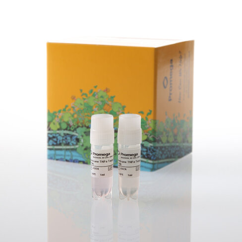 Membrane TNFalpha Target Cells, CPM