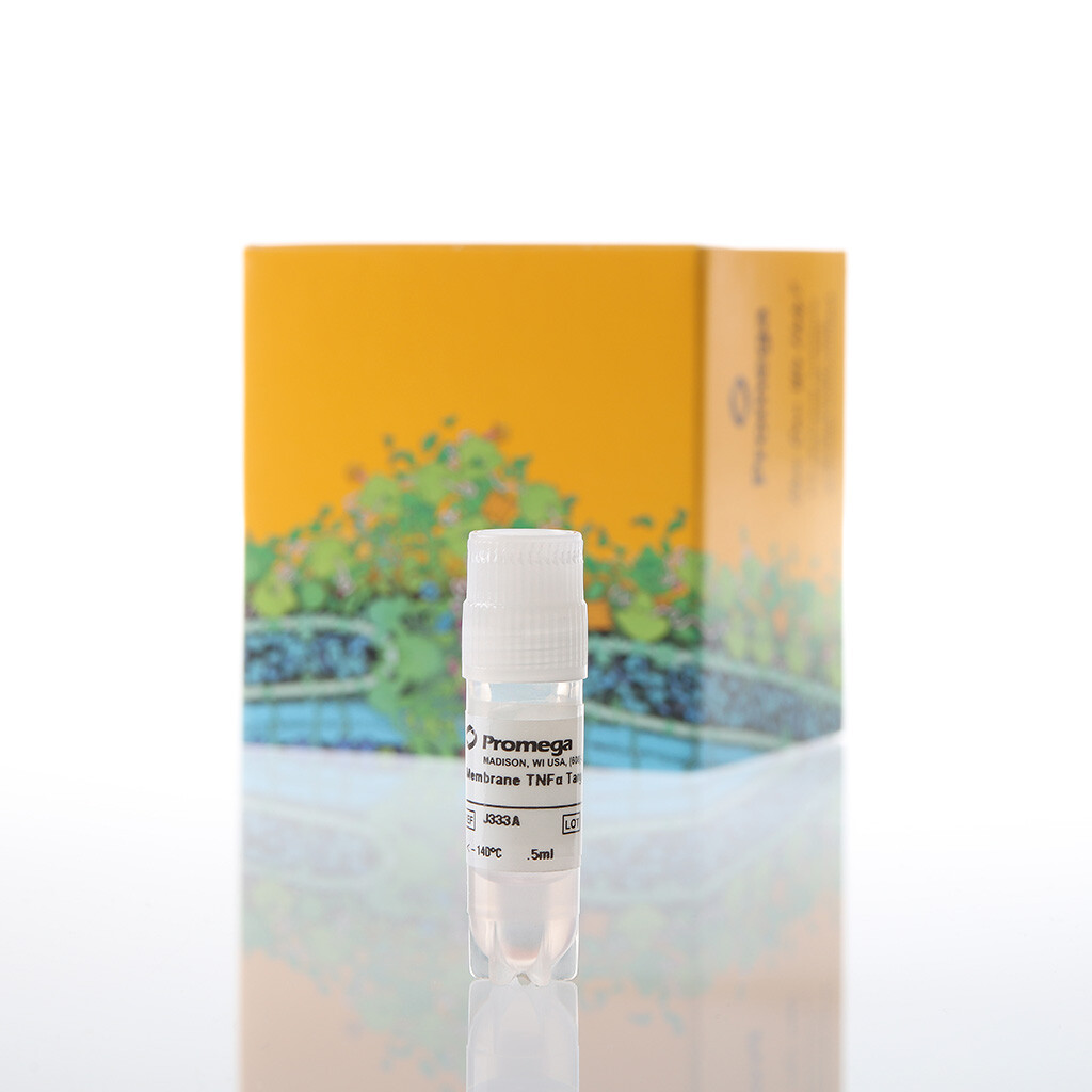 Membrane TNFalpha Target Cells