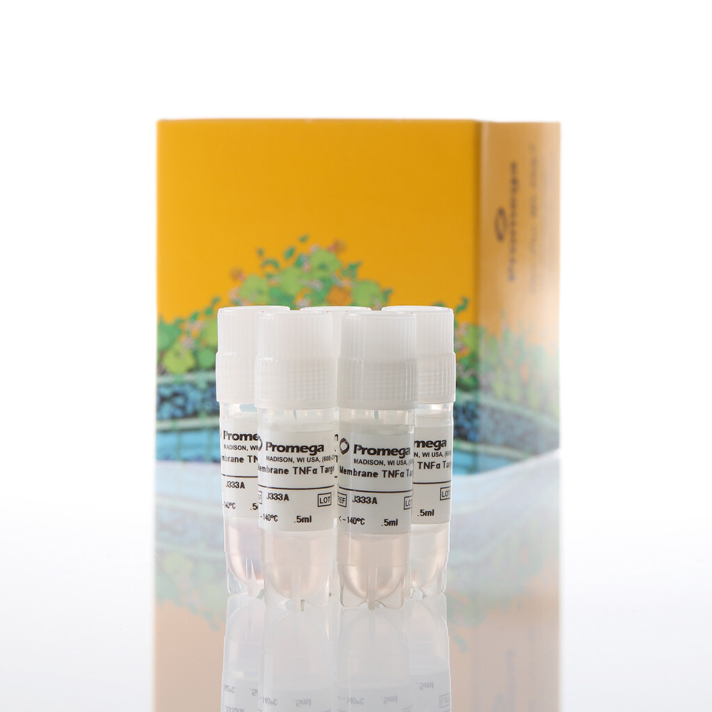 Membrane TNFalpha Target Cells 5X