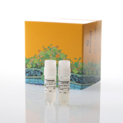 Membrane VEGF Target Cells, CPM