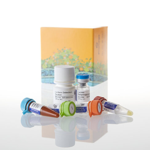 Lactate-Glo Assay 5ml 100tests 100 tests