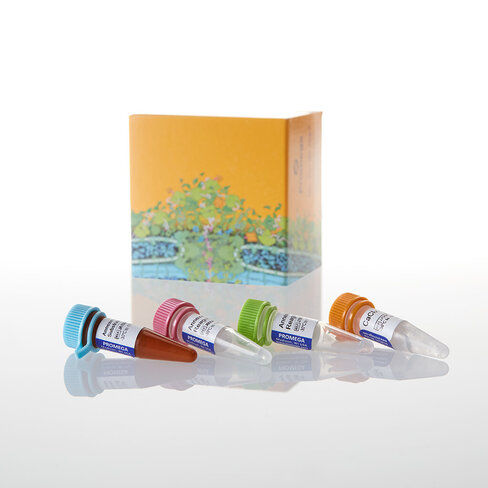 RealTime-Glo Annexin V Apopt Asy100 Asy 100tests 100 tests