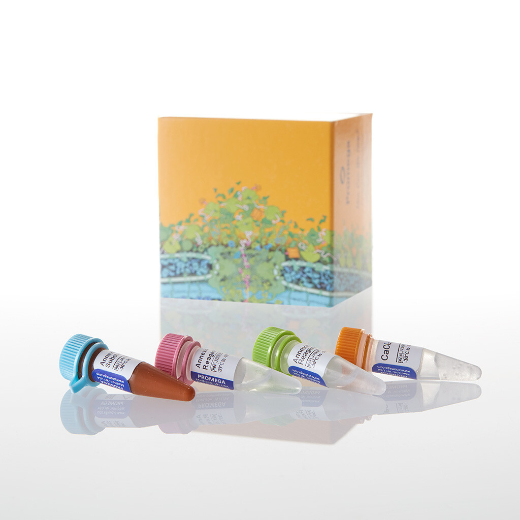 RealTime-Glo Annexin V Apopt Asy 1000As 1000tests 1000 tests