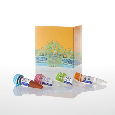 RealTime-Glo Annexin V Apopt Asy 1000As 1000tests 1000 tests