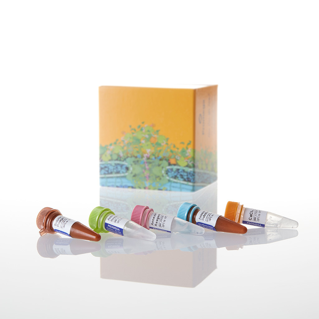 RealTime-Glo Annexin V Apoptosis and Necrosis Assay 1000 tests