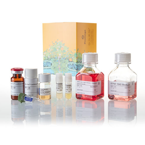 LAG-3/MHCII Blockade Bioassay 5X 1 kit