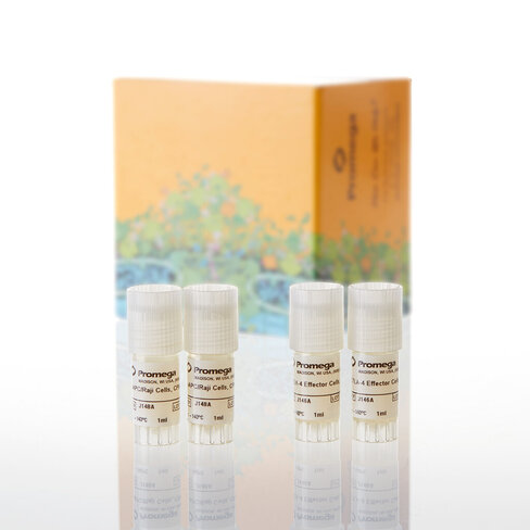 CTLA-4 Blockade Bioassay, Propagation Model 2 tube
