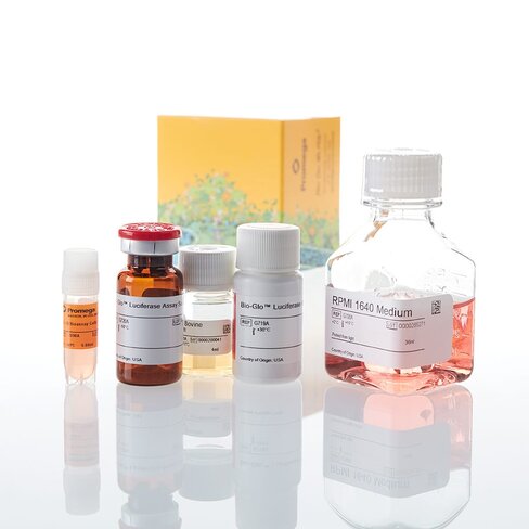 IL-15 Bioassay 1 each