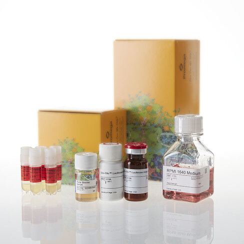 CD40 Bioassay 5X 1 each