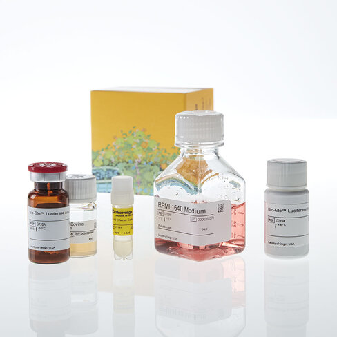 OX40 Bioassay 1 each