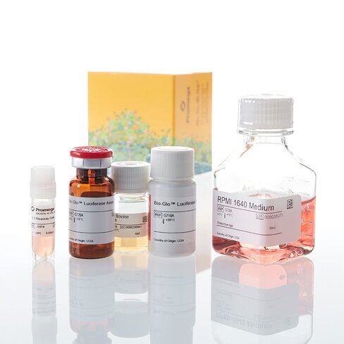 IL-2 Bioassay 1 each