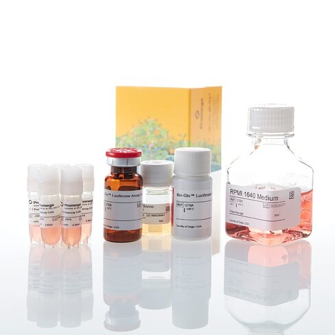 IL-2 Bioassay, 5X 1 each