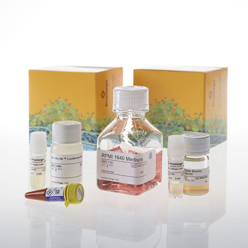 TIM-3  Bioassay 1 each