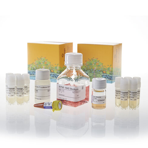 TIM-3 Bioassay 5X 5 each