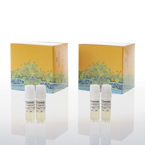 TIM-3 Bioassay Propagation Model 1 model