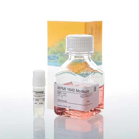 Fc?RIIb CHO-K1 Cells