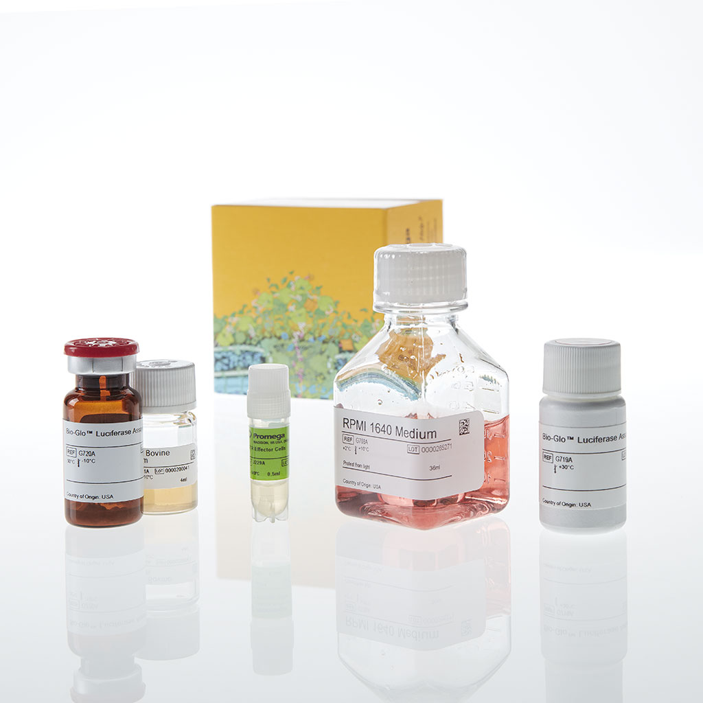 GITR Bioassay 1 each