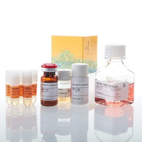 4-1BB Bioassay 5X 1 each