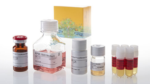 IL-6 Bioassay 5X 5 each