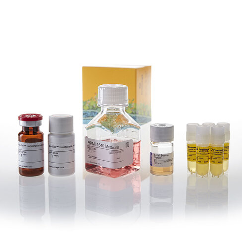 IL-23 Bioassay 5X 5 each