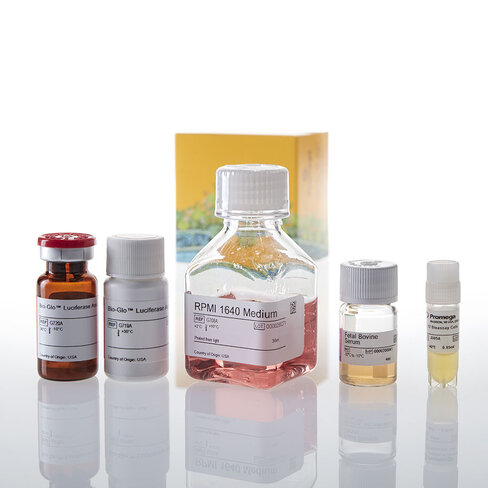 IL-12 Bioassay 1 each