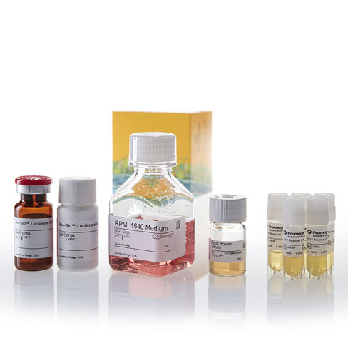 IL-12 Bioassay 5X 5 each