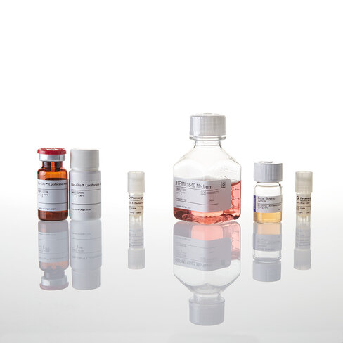 CTLA-4 Blockade Bioassay (1X Thaw-and-Use) 1 kit