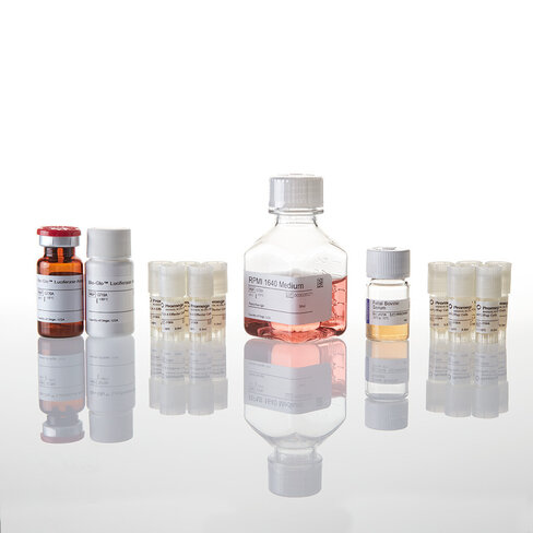 CTLA-4 Blockade Bioassay 5X (1X Thaw-and-Use) 1 kit