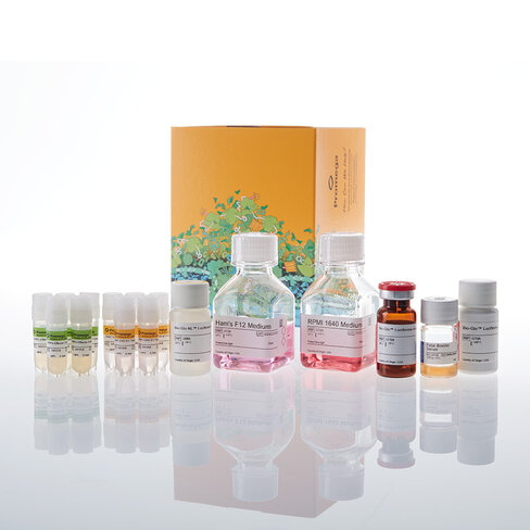 SIRPalpha/CD47 Bl Bioassay, Fc Dep 5X