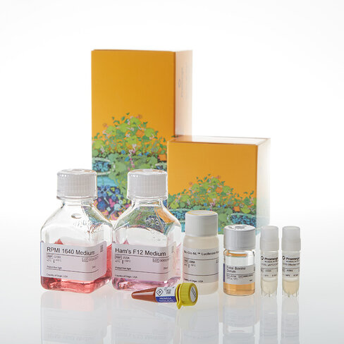 ICOS Blockade Bioassay 1 each